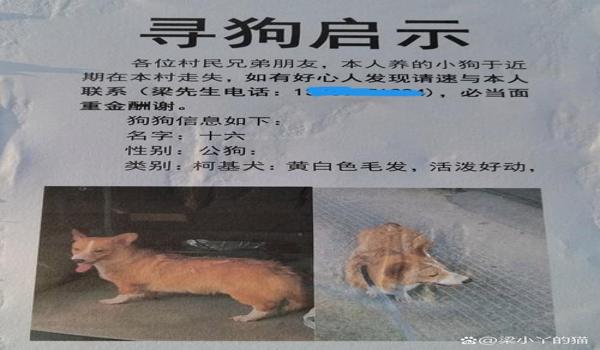 三角洲的寻血猎犬封不掉吗(有没有成功封掉寻血猎犬的案例?) 三角洲的寻血猎犬封不掉吗(有没有成功封掉寻血猎犬的案例?)