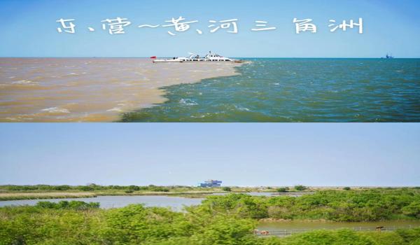 三角洲官网在哪里下(直接给我三角洲官网链接) 三角洲官网在哪里下(直接给我三角洲官网链接)