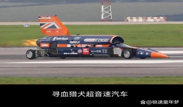 三角洲寻血猎犬会被封吗(三角洲寻血猎犬封号概率大吗?) 三角洲寻血猎犬会被封吗(三角洲寻血猎犬封号概率大吗?)